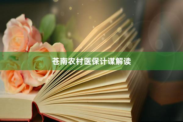 苍南农村医保计谋解读