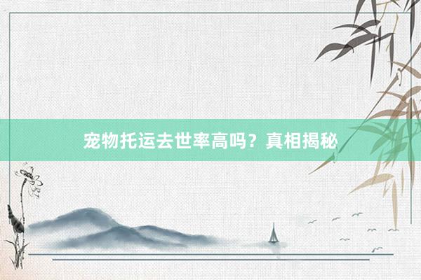 宠物托运去世率高吗？真相揭秘