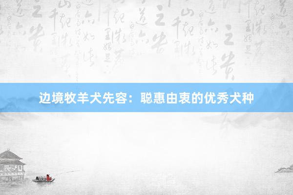 边境牧羊犬先容：聪惠由衷的优秀犬种