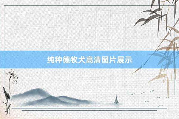 纯种德牧犬高清图片展示