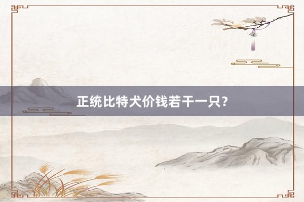 正统比特犬价钱若干一只？
